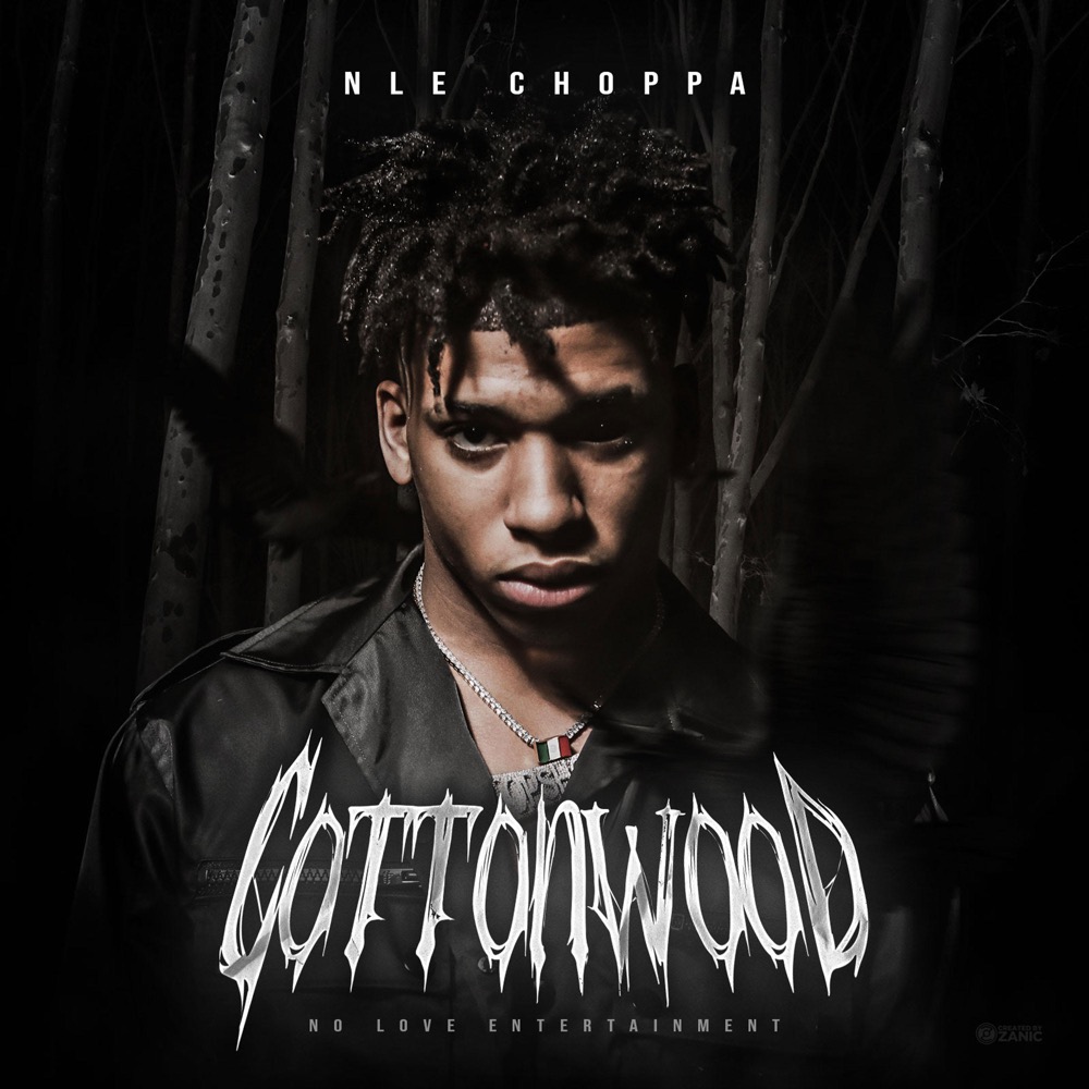Doofly S Review Of Nle Choppa Cottonwood Album Of The Year