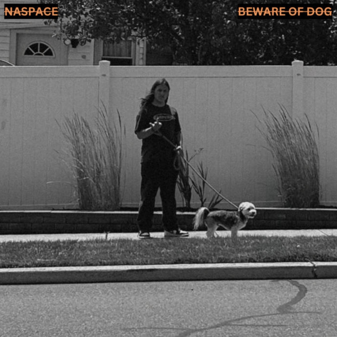 Naspace beware of dog reviews album of the year