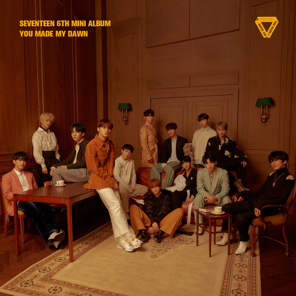 cacauzinha's Review of SEVENTEEN - You Made My Dawn - Album of The Year