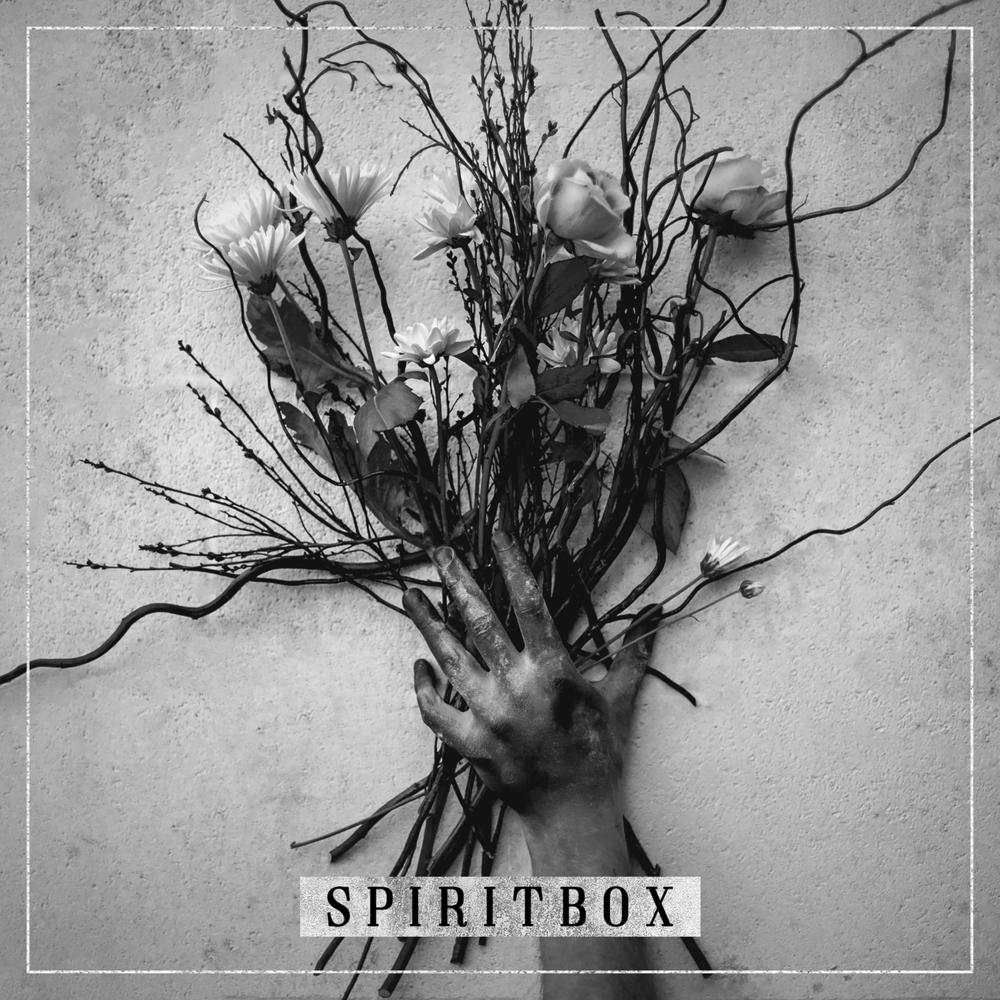Spiritbox Spiritbox Reviews Album of The Year