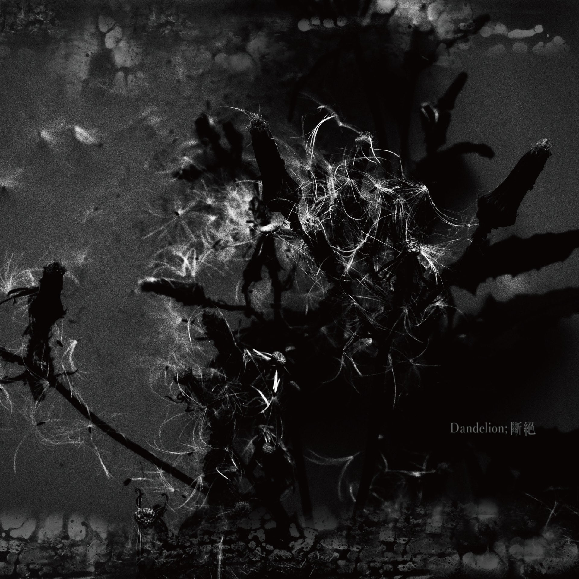 Madmans Esprit - Dandelion; 斷絕 - User Reviews - Album of The Year