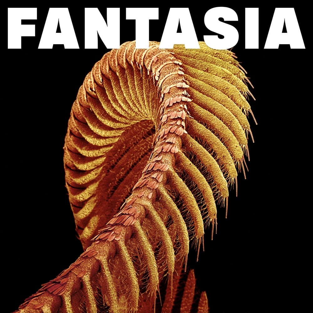 SLIFT - Fantasia cover