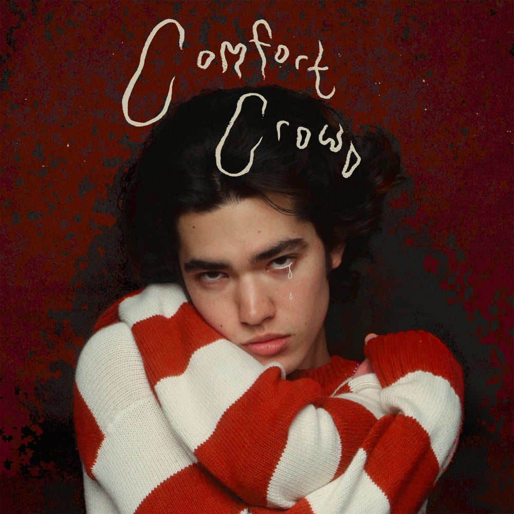 User Lists That Contain Comfort Crowd By Conan Gray Album Of The Year