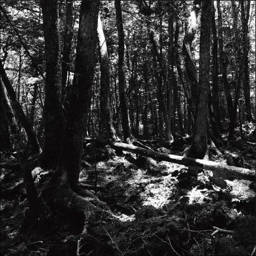 The Brother Kite シューゲイザー Shoegazer 未開封CD 東京酒吐座 [Tokyo Shoegazer] - turnaround - Reviews - Album of The