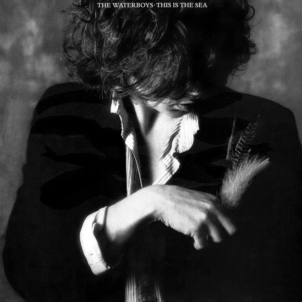 The Waterboys - This Is the Sea - Reviews - Album of The Year