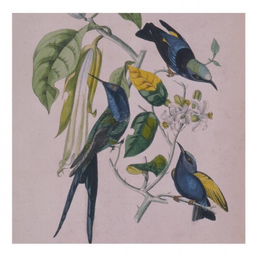 ススム ヨコタ [Susumu Yokota] - Sakura - Reviews - Album of