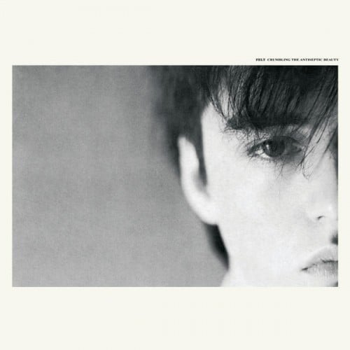 Felt - Crumbling the Antiseptic Beauty - User Reviews