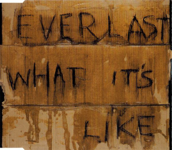 Everlast - Whats It's LIke review by BZZ_BZZ_BZZ_ - Album of The Year
