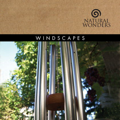 David Arkenstone - Windscapes - Reviews - Album of The Year