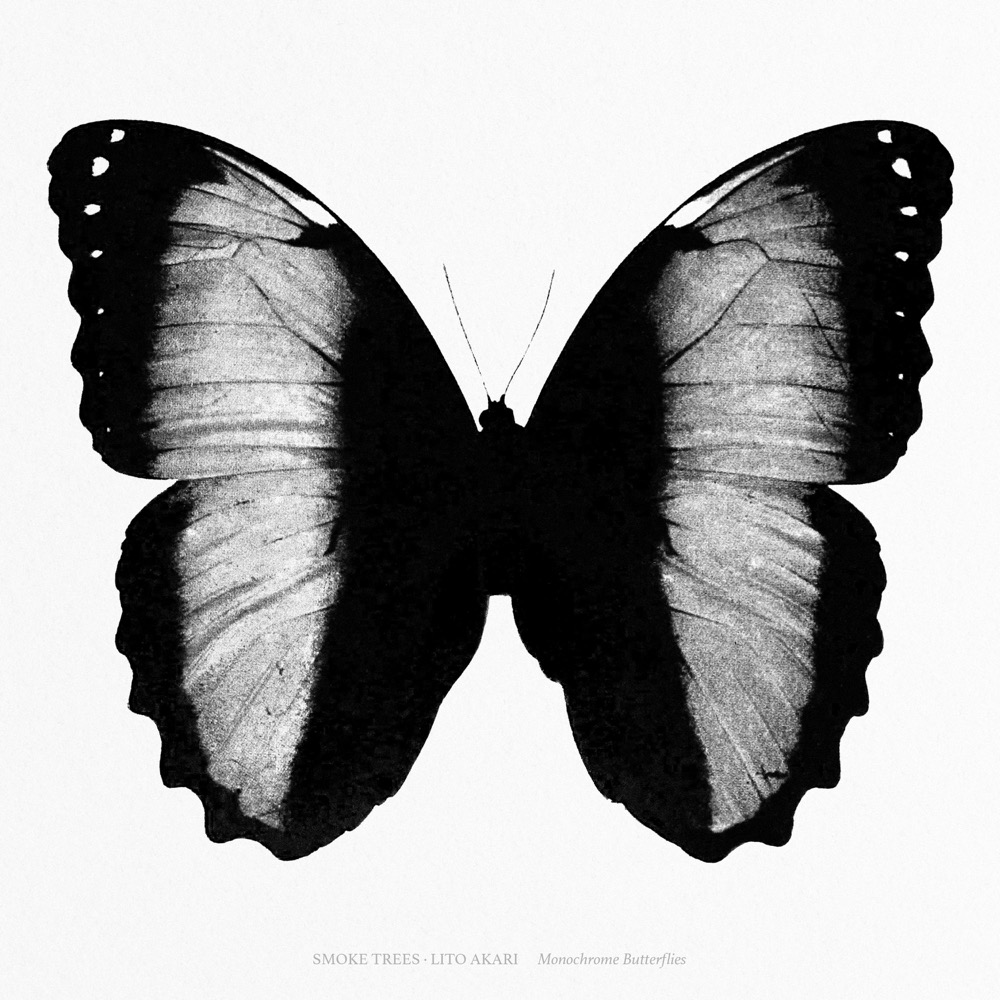 Smoke Trees & Lito Akari - Monochrome Butterflies - Reviews - Album of ...