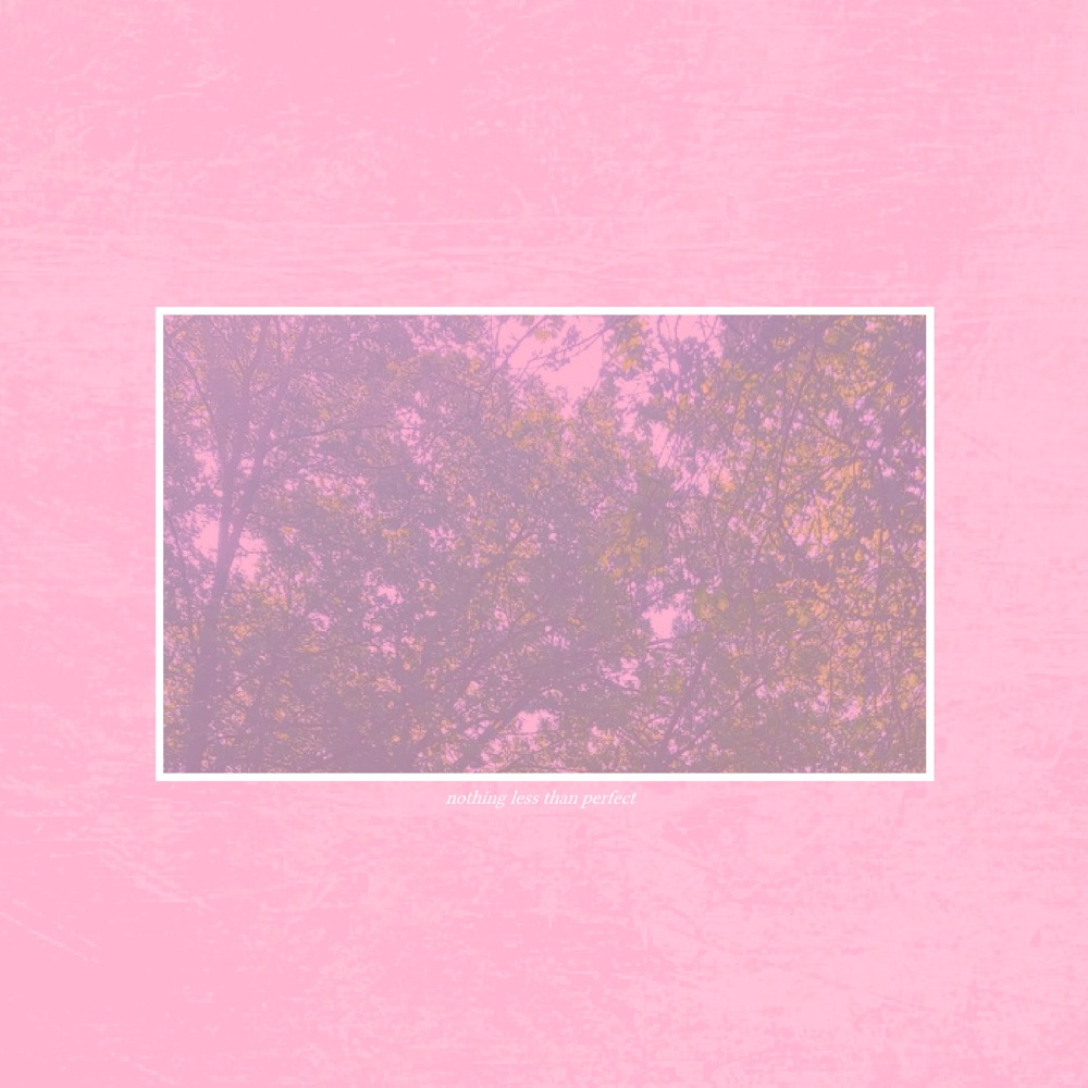 VDM - Nothing Less Than Perfect - Reviews - Album of The Year