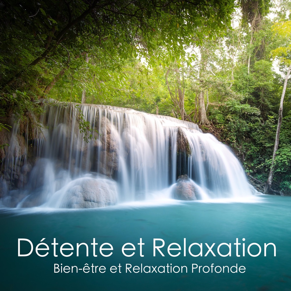 Musique zen pour la relaxation - Album by Musique Calme et Relaxation