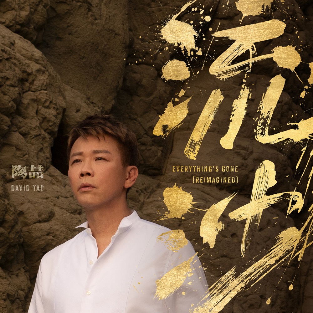 新品未使用、未開封】DAVID TAO（LP）陶喆 台湾音楽 レコード
