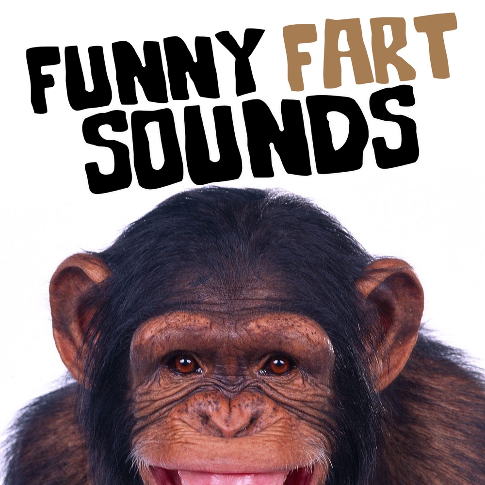 Fart Sound Effects Funny Fart Sounds Reviews Album Of The Year