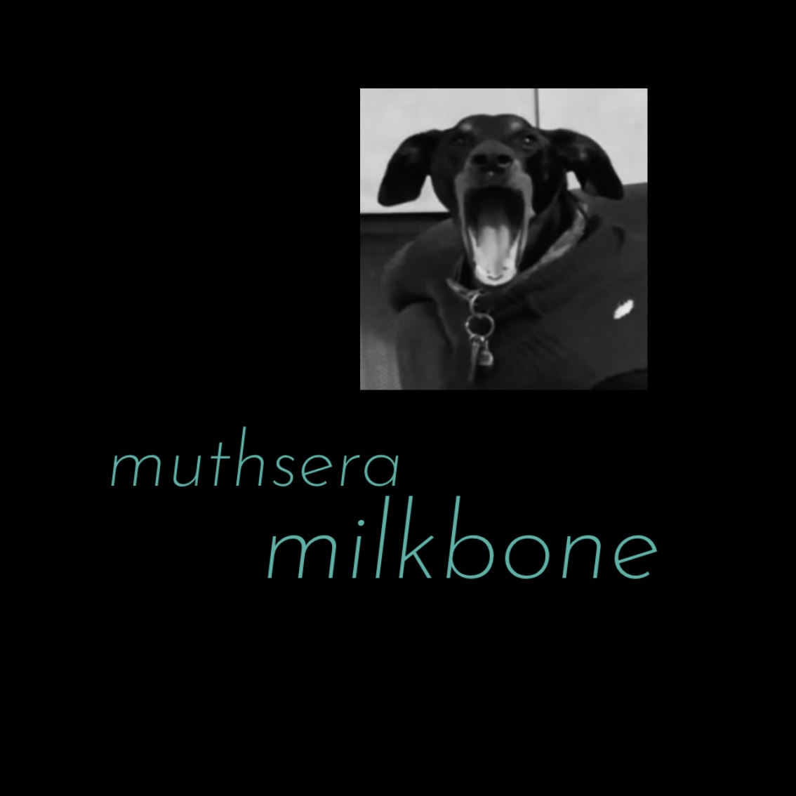 Muthsera - Milkbone - Reviews - Album of The Year