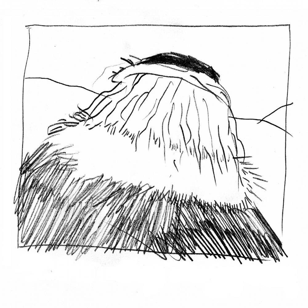 David Byrne The Fat Man s Comin Reviews Album Of The Year david-byrne-the-fat-man-s-comin-reviews-album-of-the-year