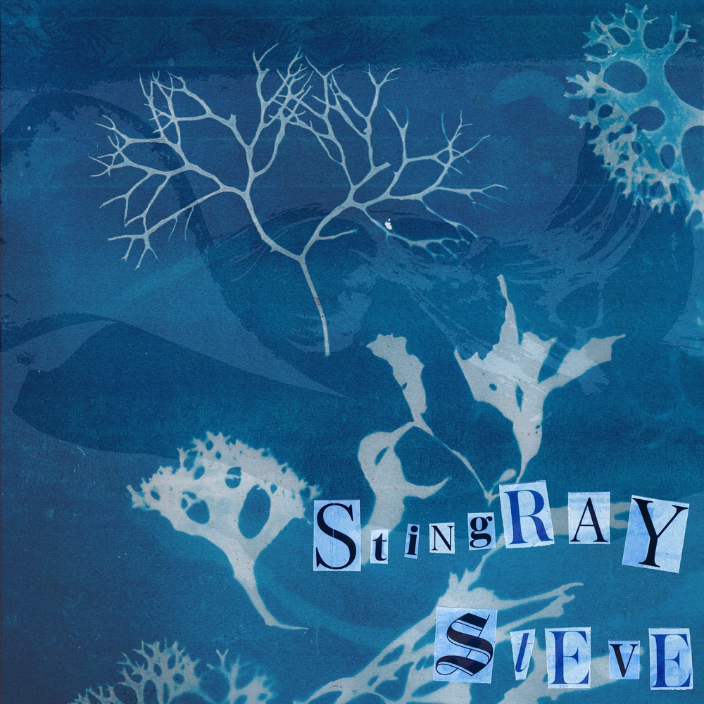 Oral Habit Stingray Steve Reviews Album of The Year