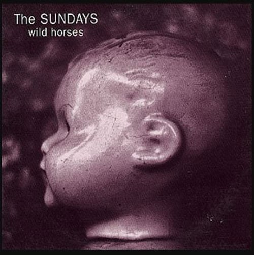 The Sundays Wild Horses Reviews Album Of The Year The sundays wild horses reviews album of the year
