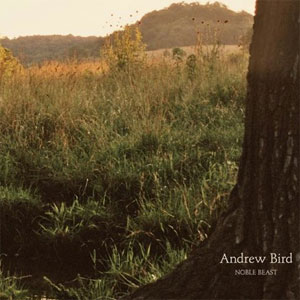 Andrew Bird - Noble Beast - Reviews - Album of The Year