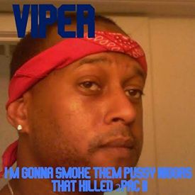 viper rapper full discography