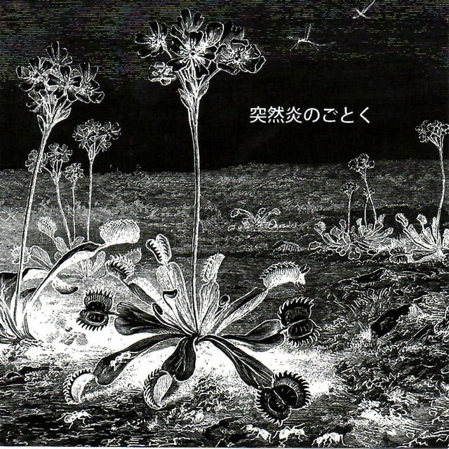 LSD March Albums, Songs - Discography - Album of The Year