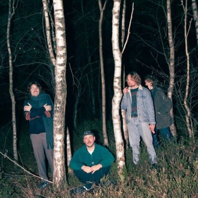 Lintworm