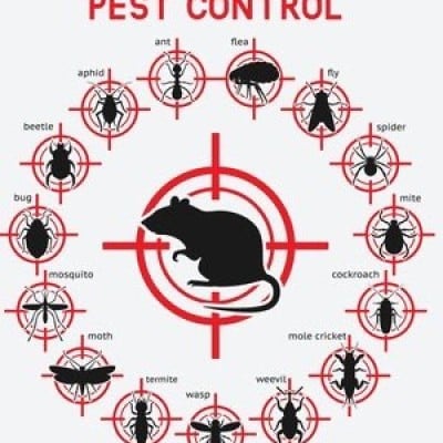 Ultrasonic Pest Repeller
