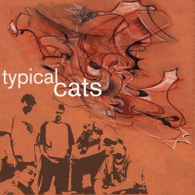 Typical Cats Albums, Songs - Discography - Album of The Year