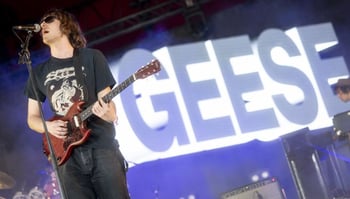 No, Geese Is Not a &ldquo;Psy-Op&rdquo;