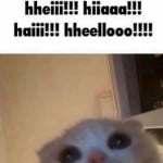 aleehi