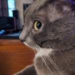 Alexallenw1