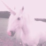 alonna