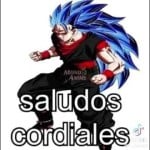 AndreZXO