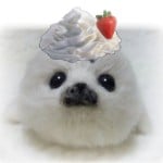 anieshark