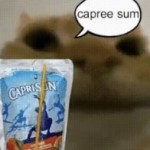 Aohgogh