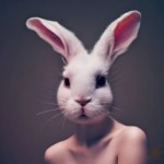 Aprilcot