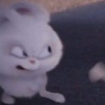 whysoharsh