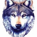Atlas_Wolf