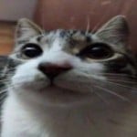 Atsiv