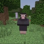 auksinisboy