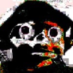 barkbark1219