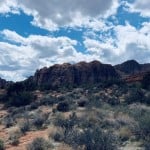 BiasedReviews