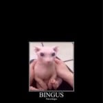 BigBingus