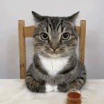 Biggie_Balls