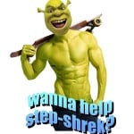 Bildam