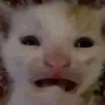 bjorkp_3