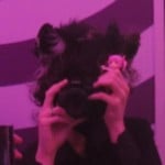 bloodwolfepc