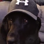 Blooperboyblue