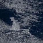BMS1229