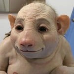 bonquavious